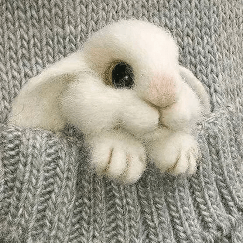Felt Animal Brooch